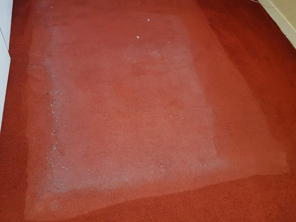 Carpet Cleaning Ballsbridge Low Cost Carpet Cleaning Company