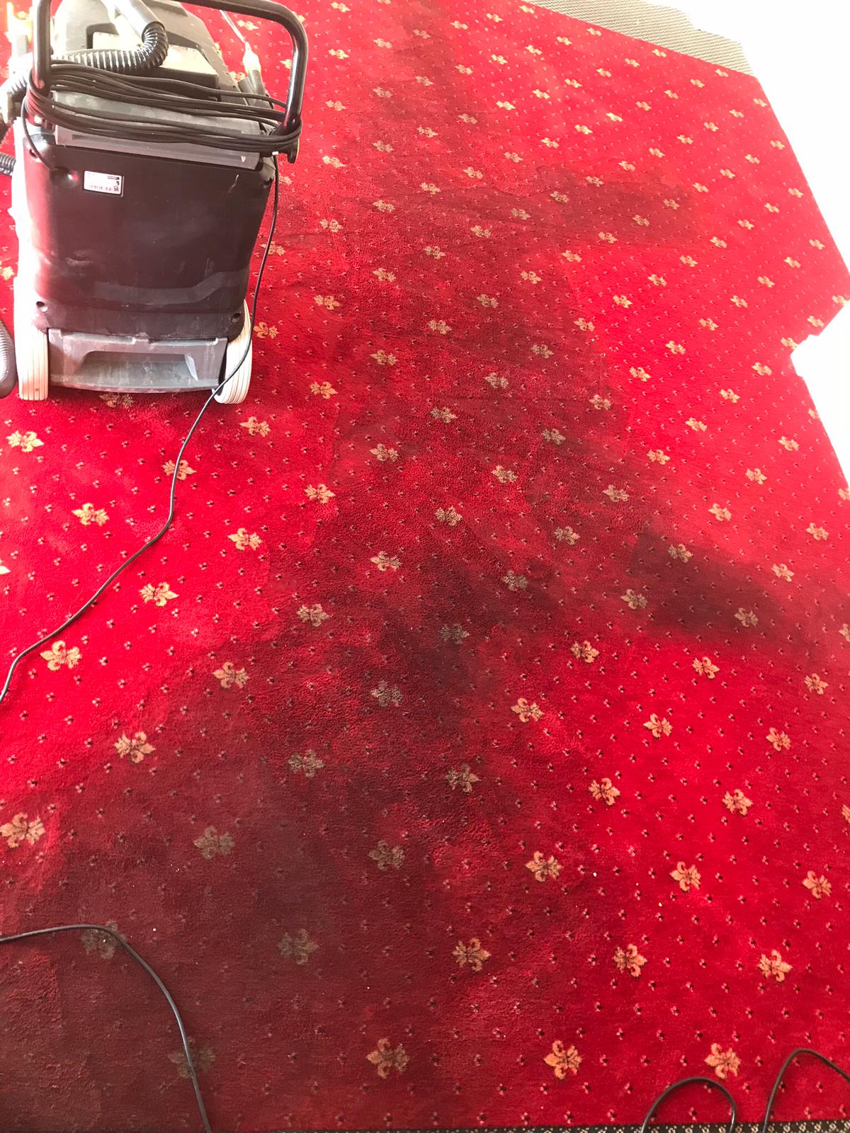 Carpet Cleaning Kinsealy Eco Carpet Cleaning Shampoos