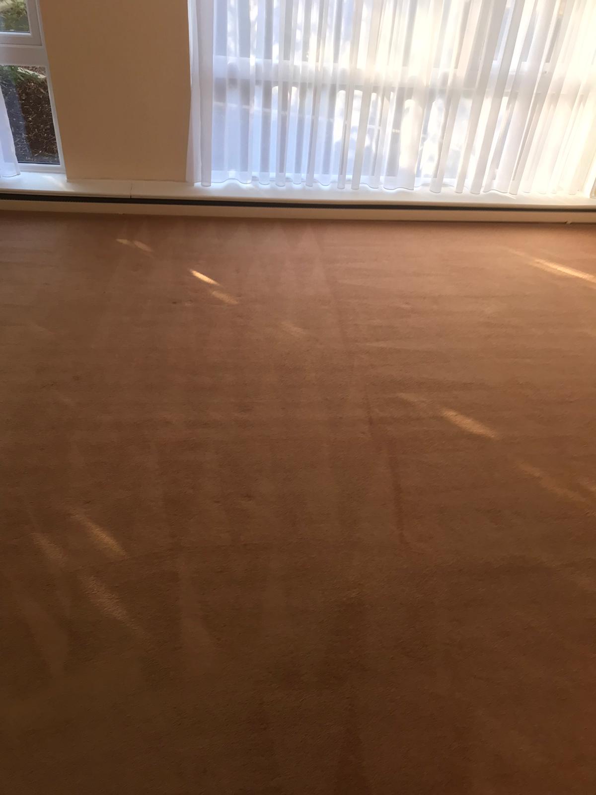 Carpet Cleaning Dublin 8 Cheap Carpet Cleaning Services