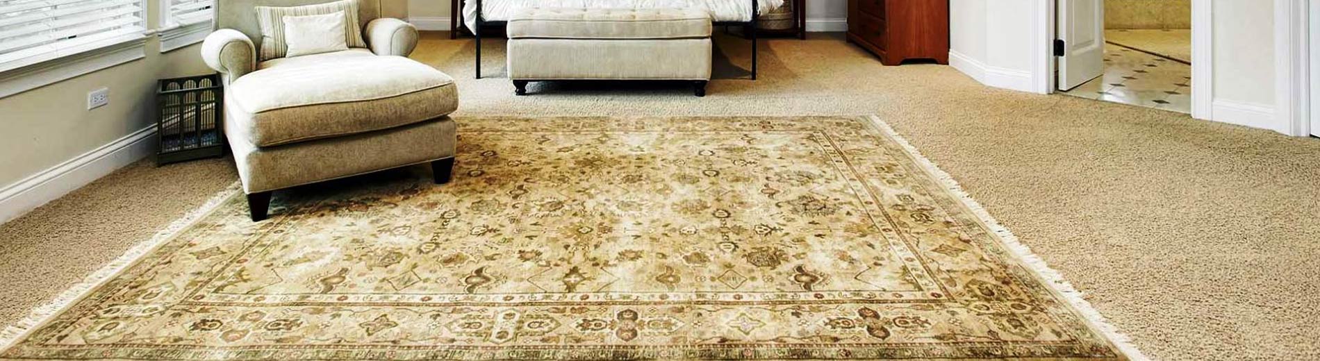 The Importance Of Rug Cleaning Services Dublin Carpet Cleaning