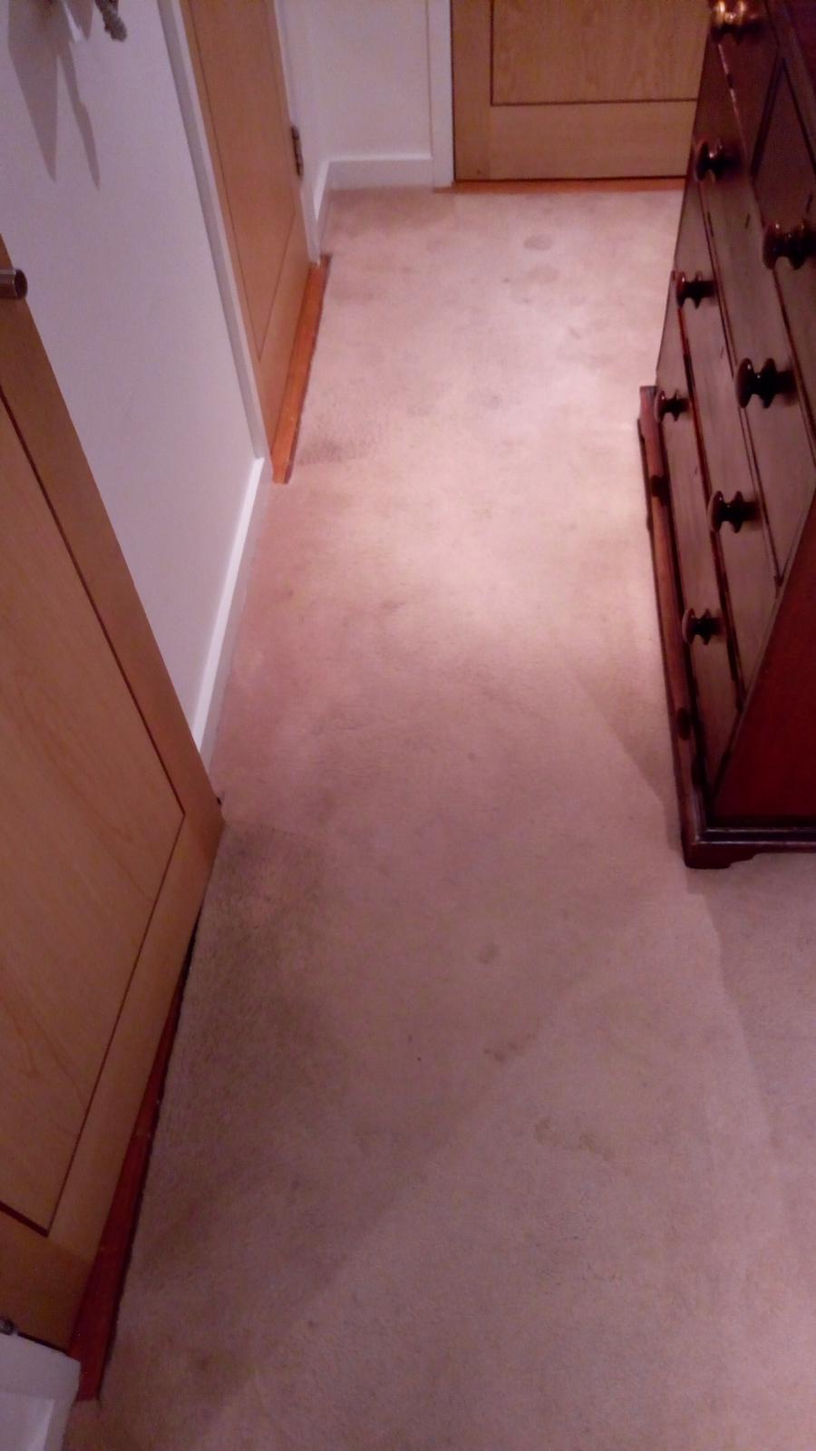 Affordable Eco Carpet Cleaning Ballymount Local Carpet Cleaners