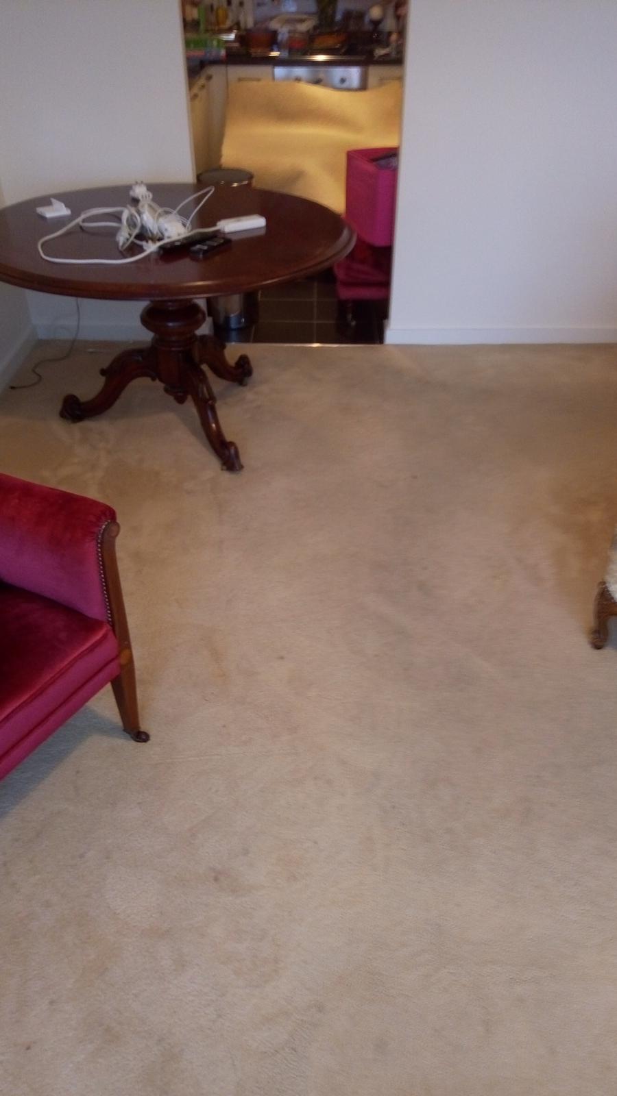 What Is Carpet Cleaning? Professional Carpet Cleaning Dublin