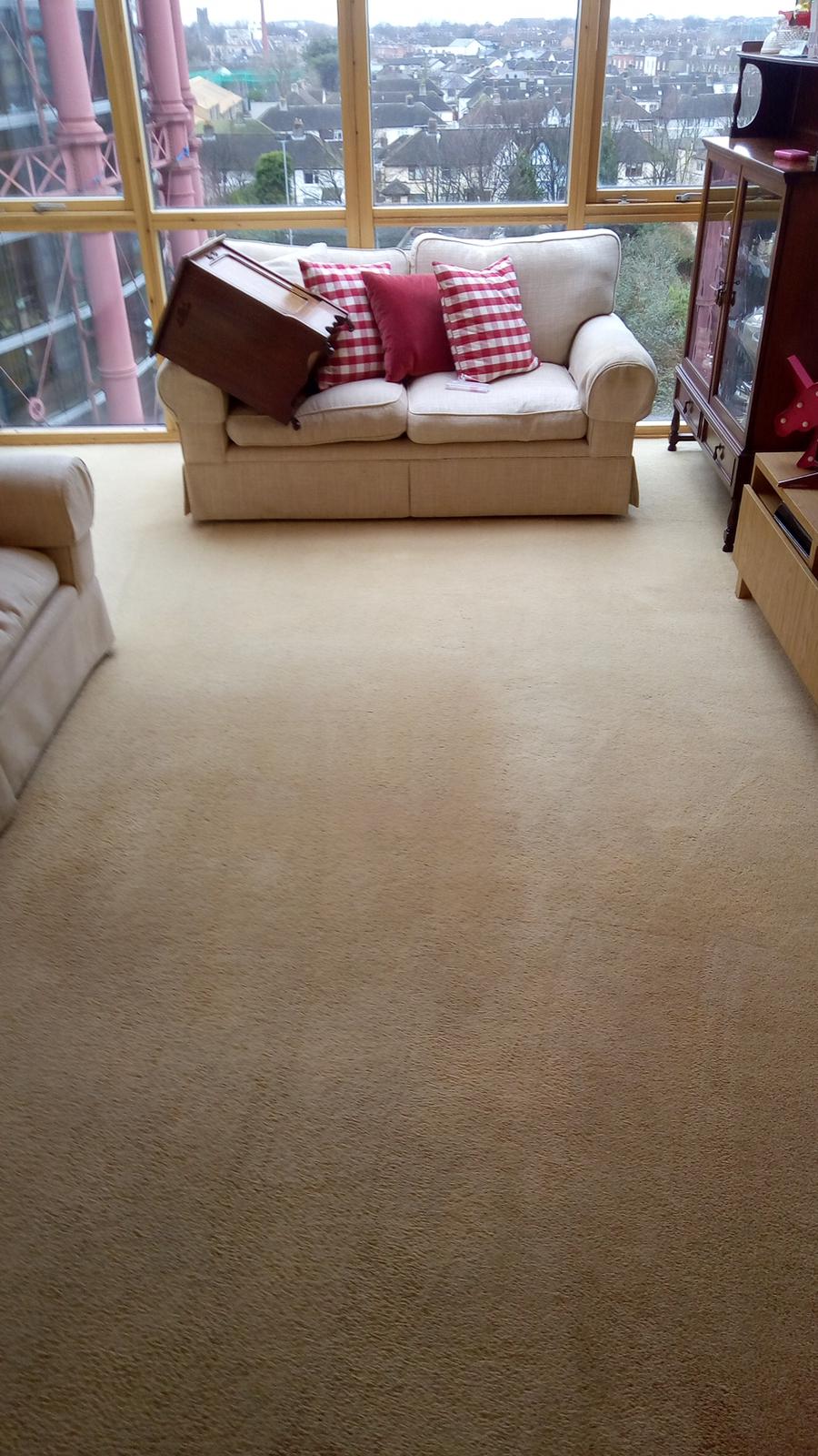 Why Should You Hire Carpet Cleaning From Dublin