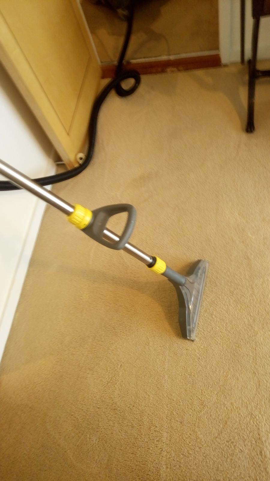 Professional Carpet Cleaning In Dublin Carpet Cleaning Company