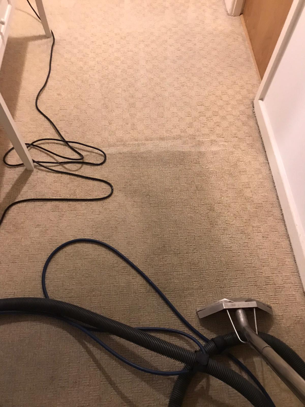Affordable Carpet Cleaning Services Carpet Cleaning Dublin