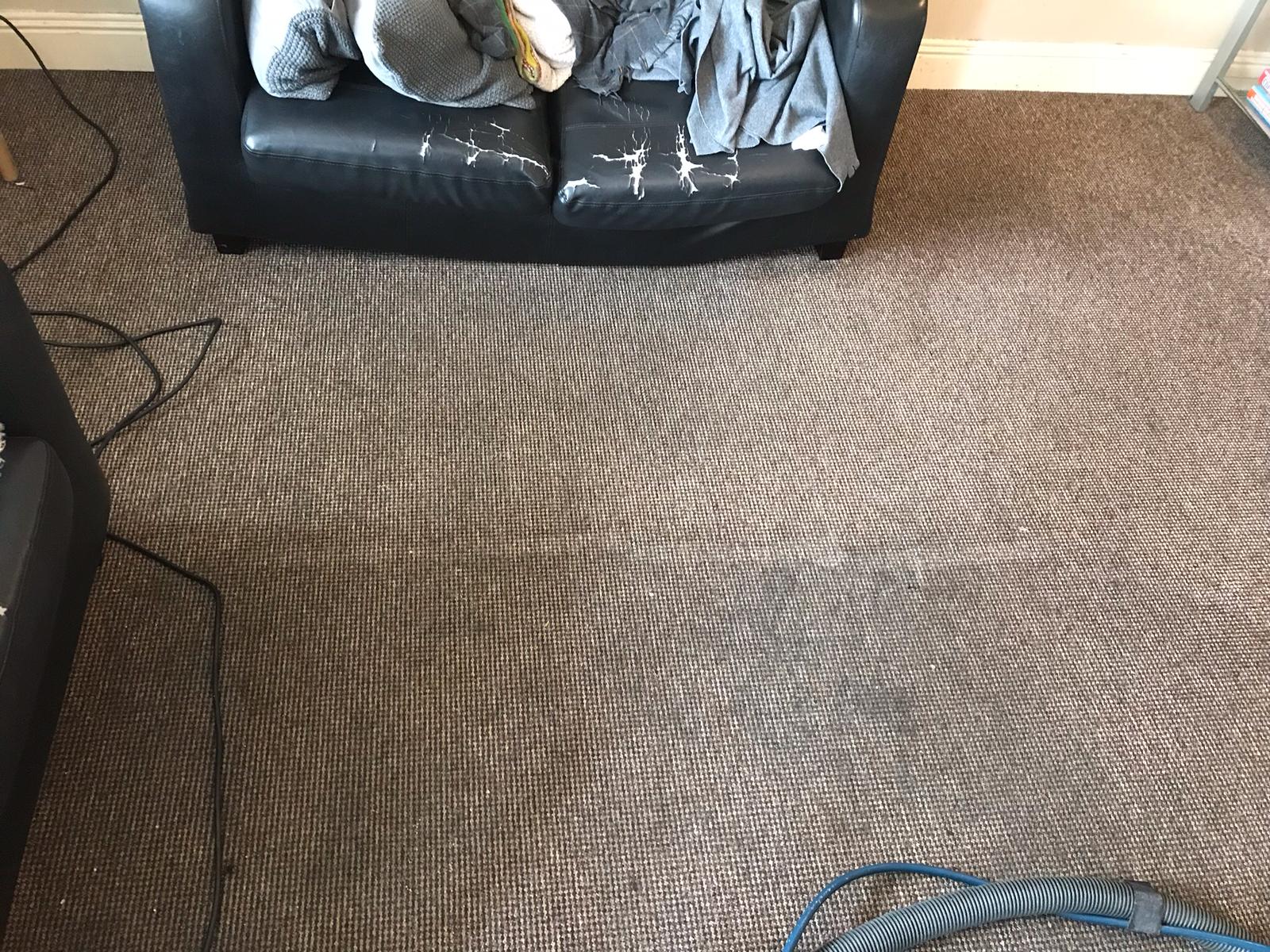 How Often Should I Get Carpet Cleaning Done? Carpet Cleaning Dublin