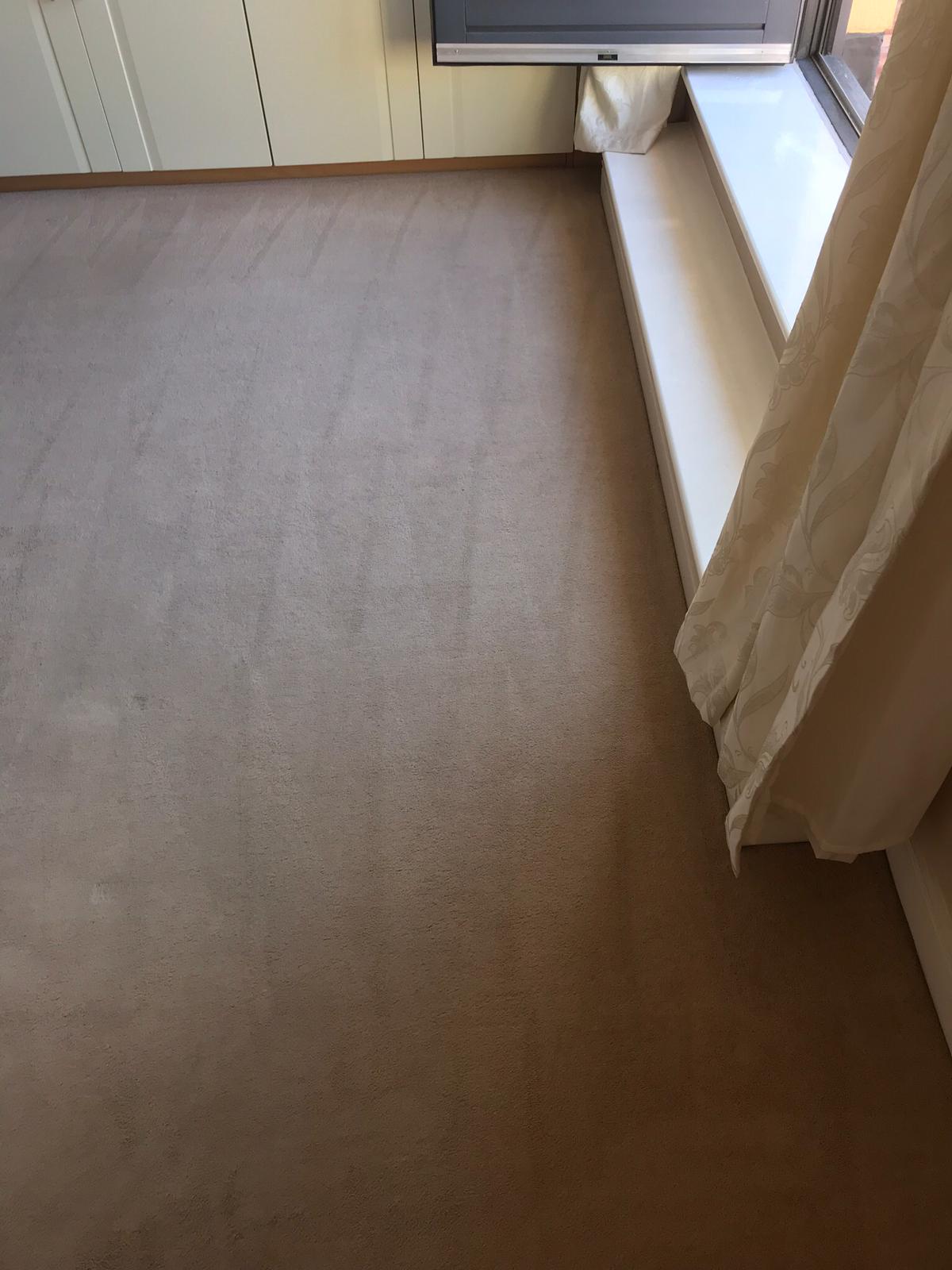 It Is Time To Spring Clean Your Carpets? Carpet Cleaning Dublin