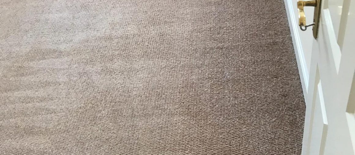 Thinking Of DIY Carpet Cleaning? Here's Why You Should Pause Your Plans