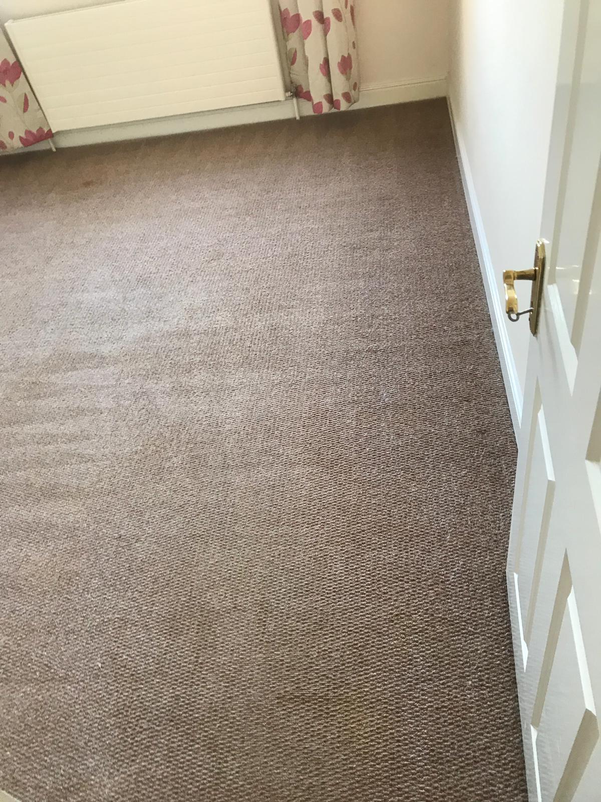 Thinking Of DIY Carpet Cleaning? Here's Why You Should Pause Your Plans