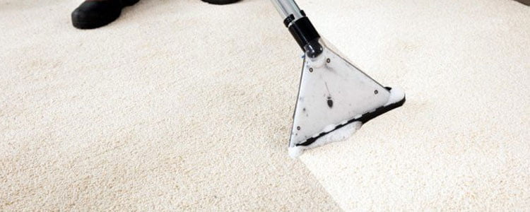 Identify The Best Carpet Cleaning In Dublin