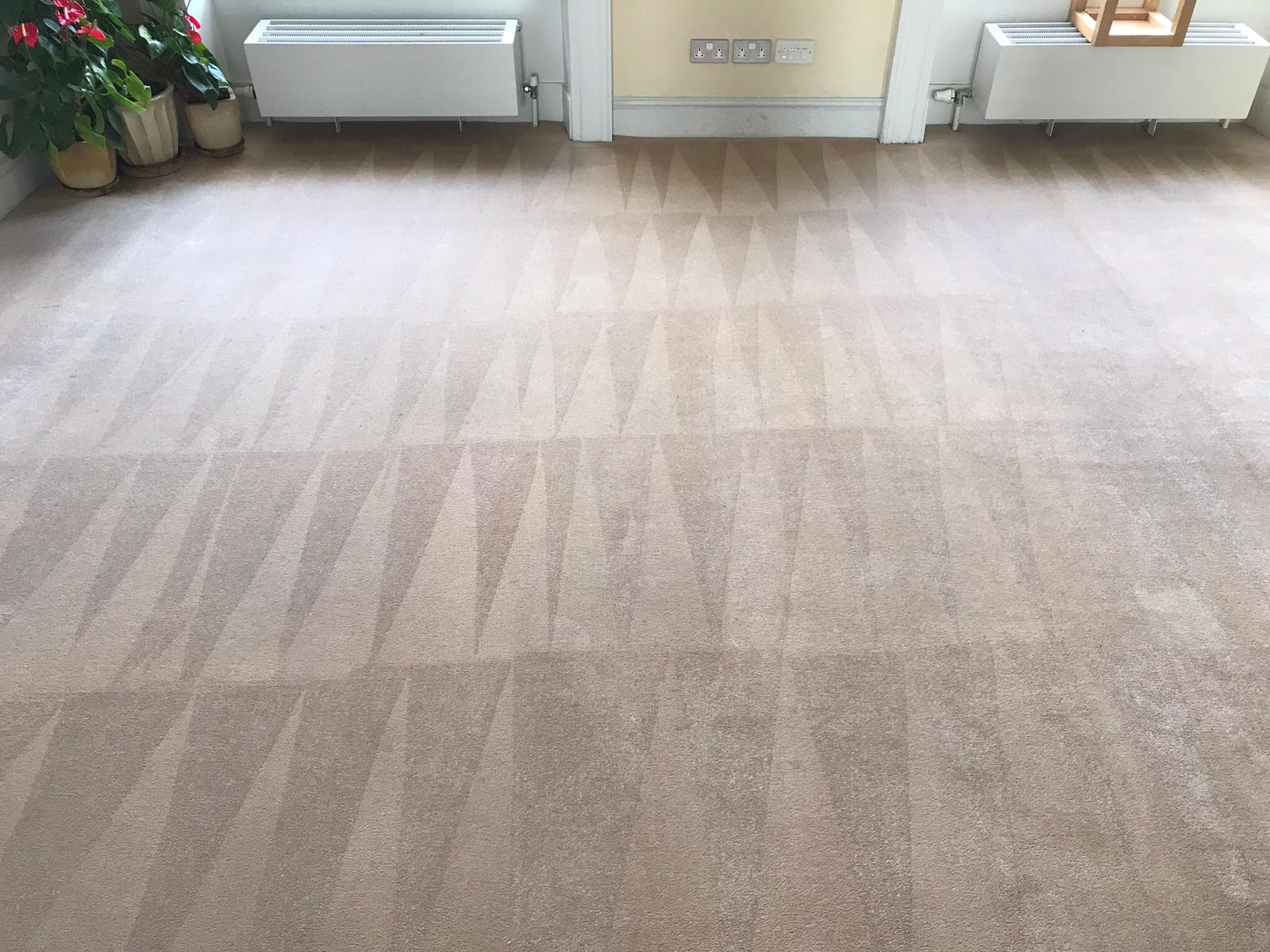 Carpet Stores Dublin Ga at Natalie Warner blog