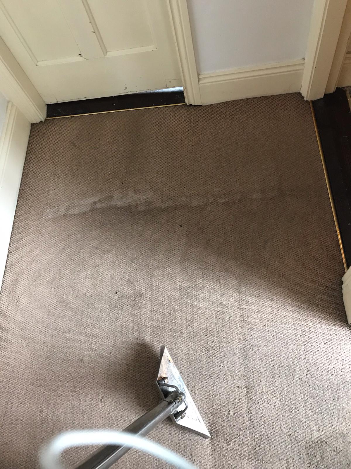 The Benefits Of Having Your Rug Professionally Cleaned