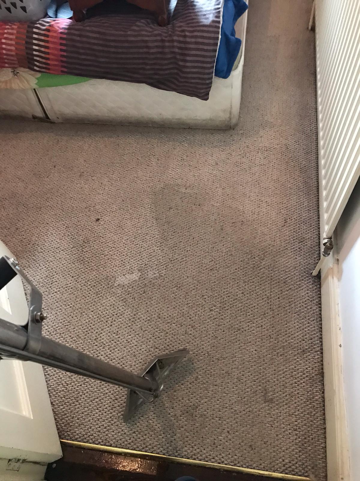 Dealing With The Smell Coming From The Carpet Eco Carpet Cleaning