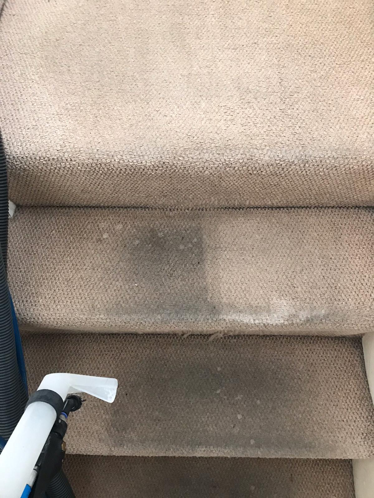 How Dirt Ruins Your Carpet Carpet Cleaning Dublin