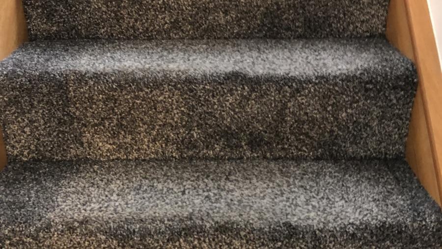 Why You Should Look Into Getting Your Carpet Cleaned By The Professionals