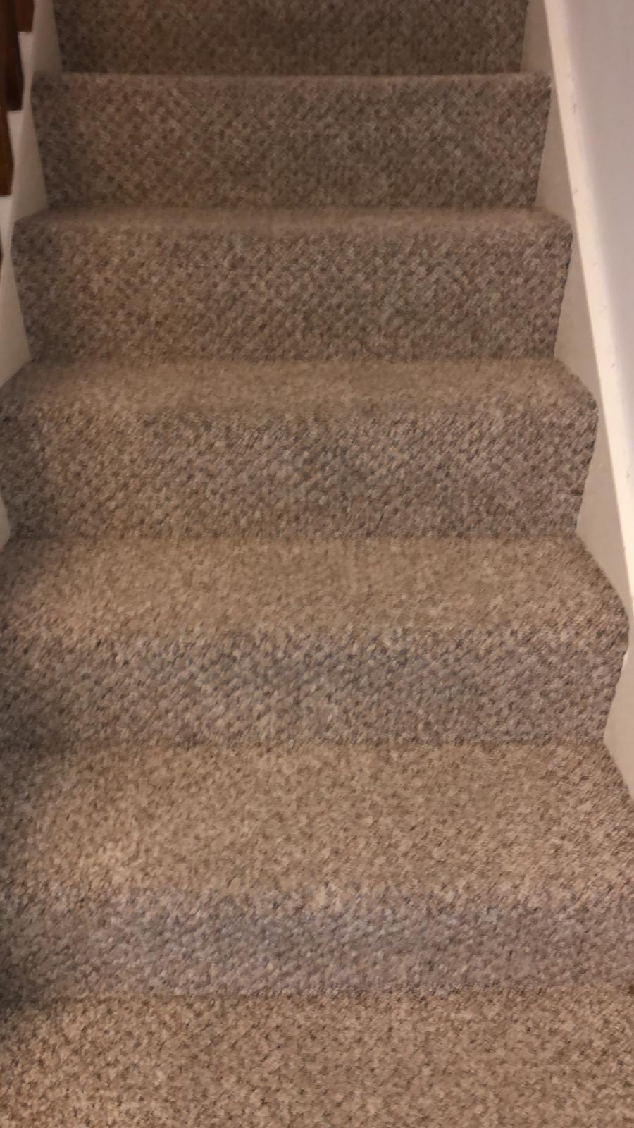 Questions To Ask The Carpet Cleaners / Carpet Cleaning Dublin