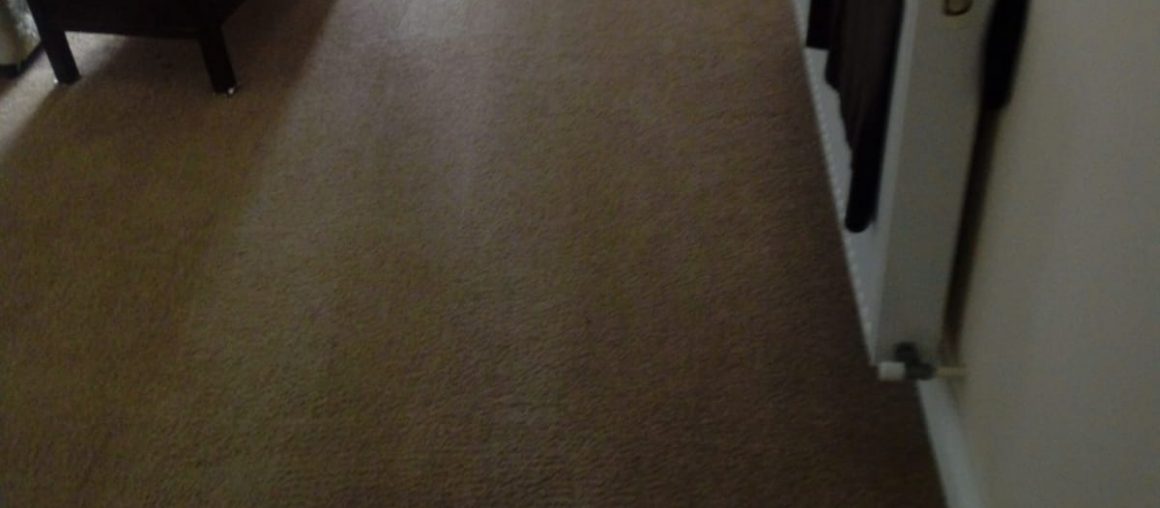 A Look At Some Of The Myths Concerning Carpet Cleaning
