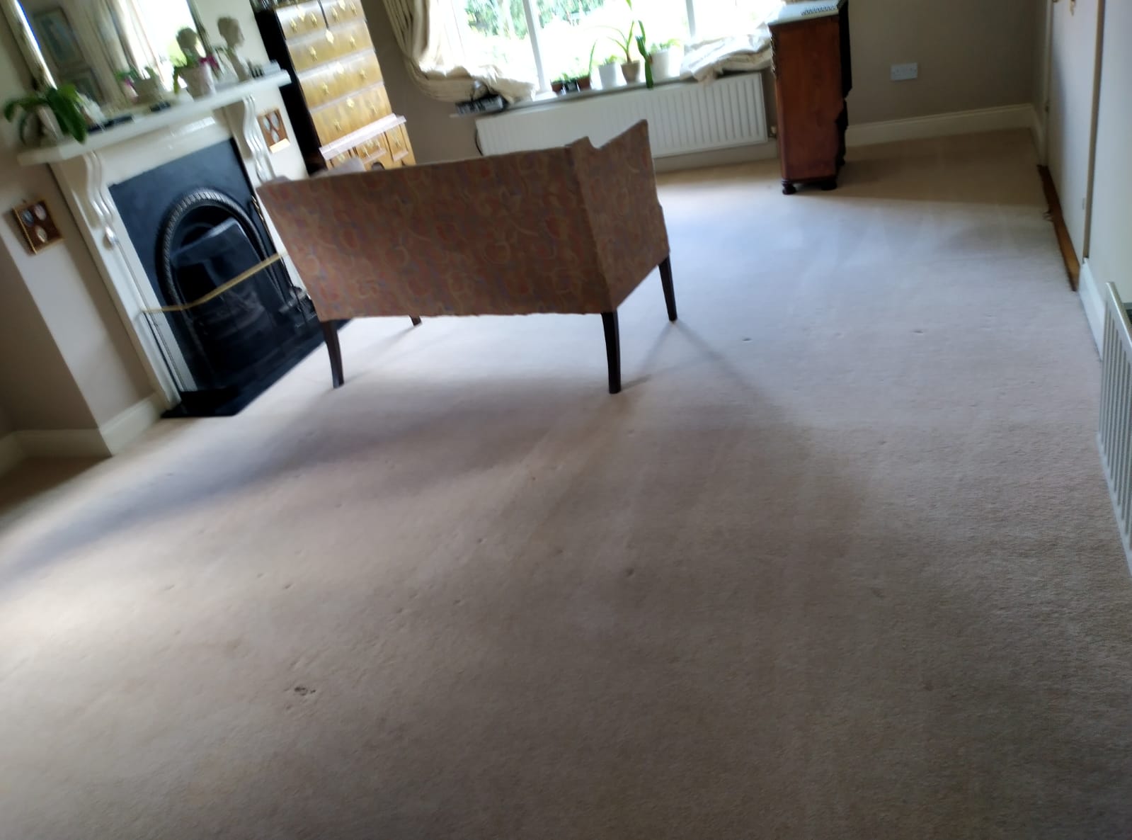 How Often Your Carpet Should Be Cleaned / Carpet Cleaning Dublin