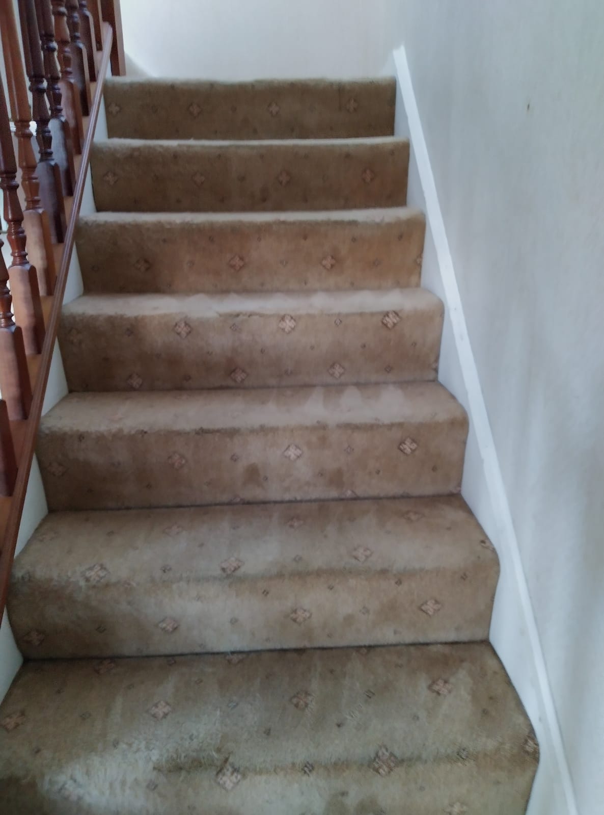 Why The Carpet Cleaning Is Key To Minimise Allergies