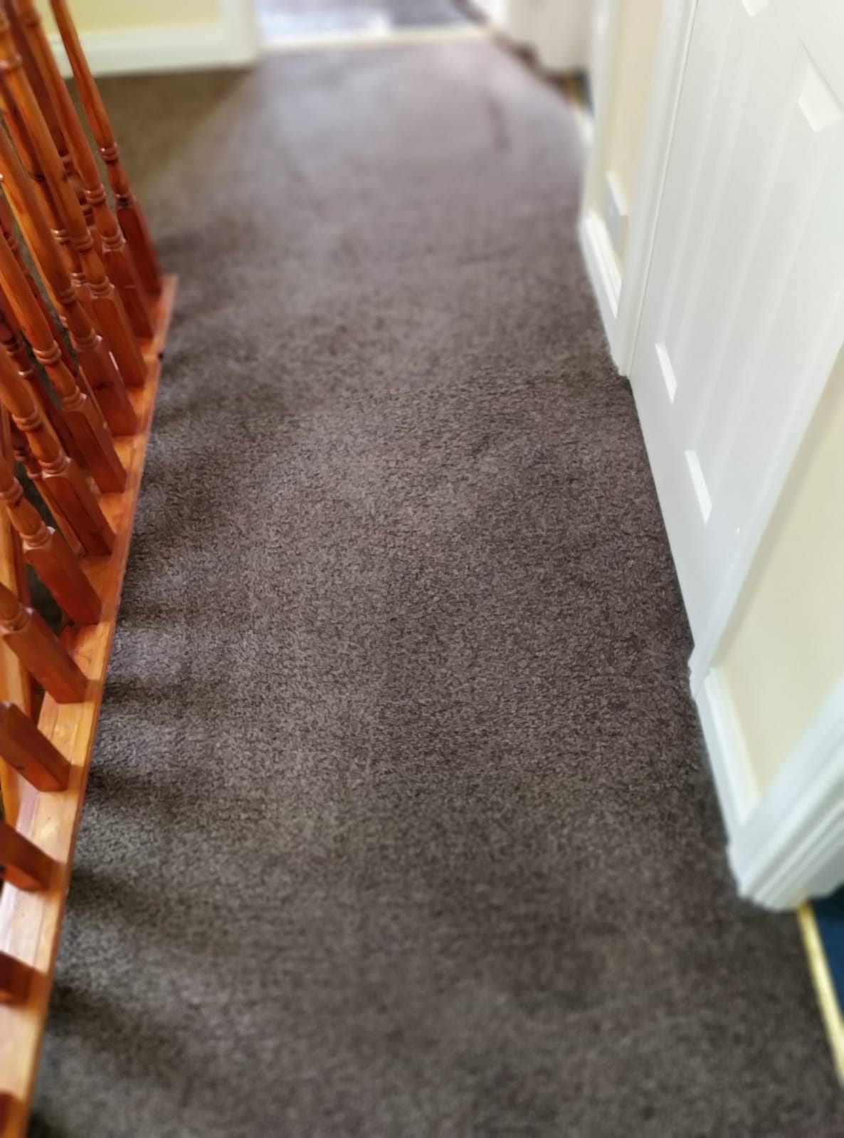 Comparing Spray Versus Plastic Carpet Protectors For Maintenance After