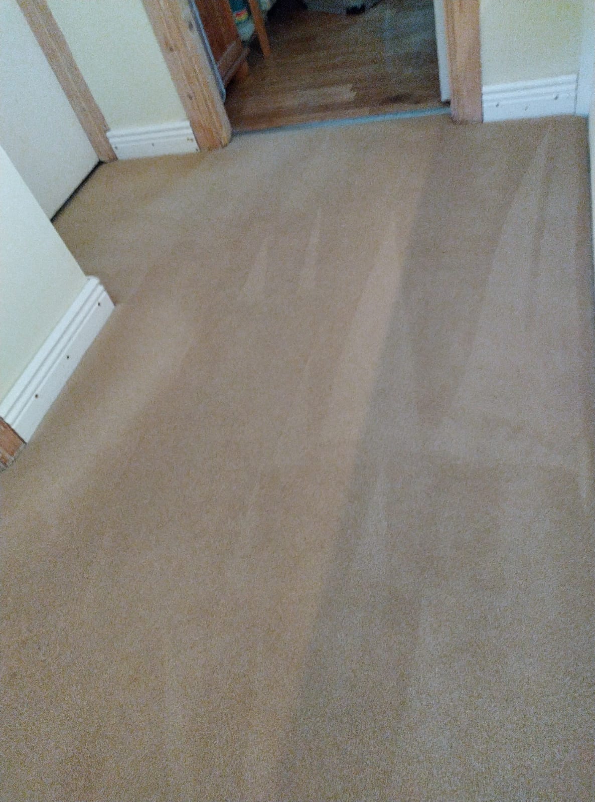 Carpet Cleaning Ranelagh Fully Insured Carpet Cleaning Contractor