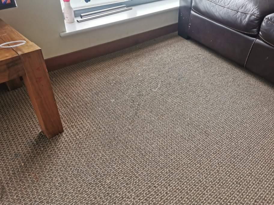 Carpet Cleaning Dublin 24 Cheap Carpet Cleaning Services