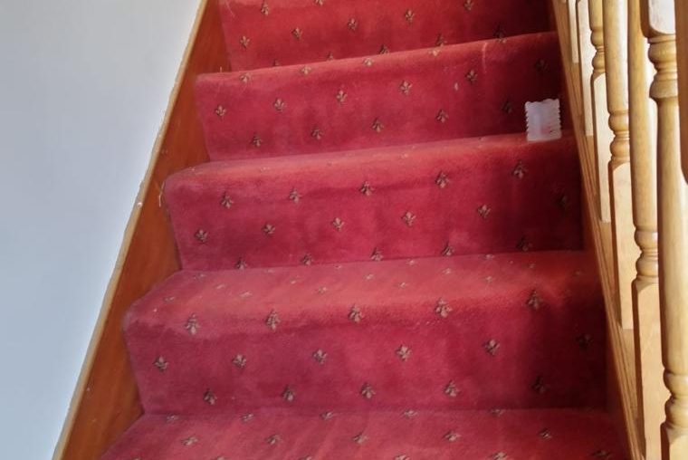 Carpet Cleaning Donabate