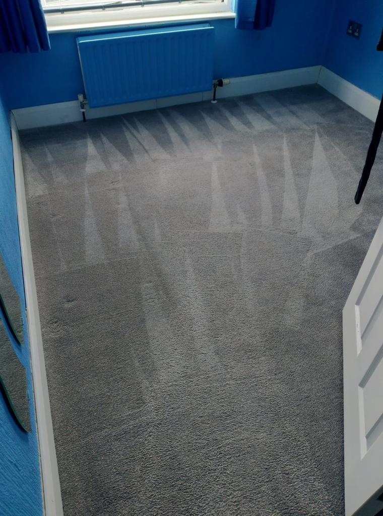 Carpet Care For Households With Pets Carpet Cleaning Dublin