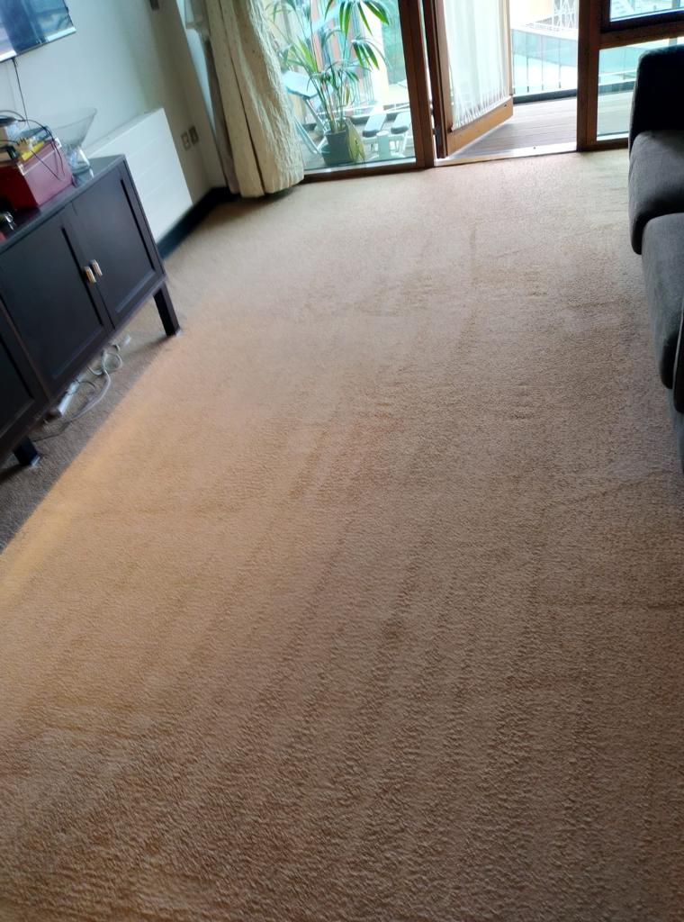 The Grime Underfoot A Tale Of Your Carpet’s Secrets