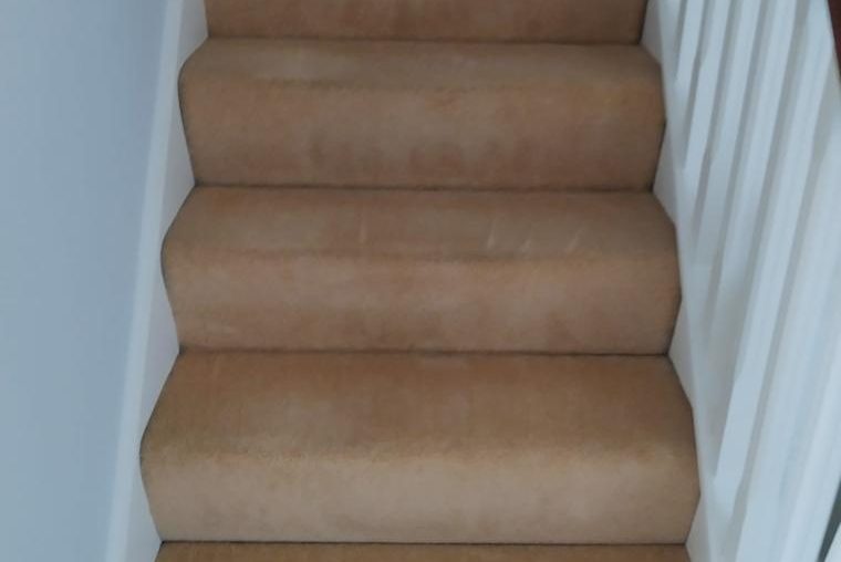Carpet Cleaning Ratoath