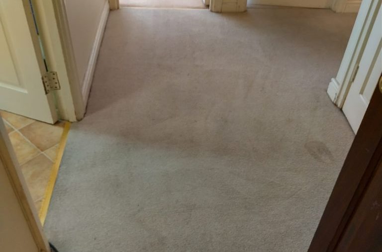  Cost-Benefit Analysis of Professional Carpet Cleaning