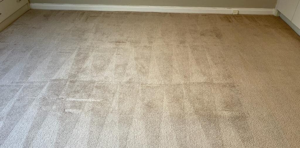 Why Carpet Stains Keep Coming Back