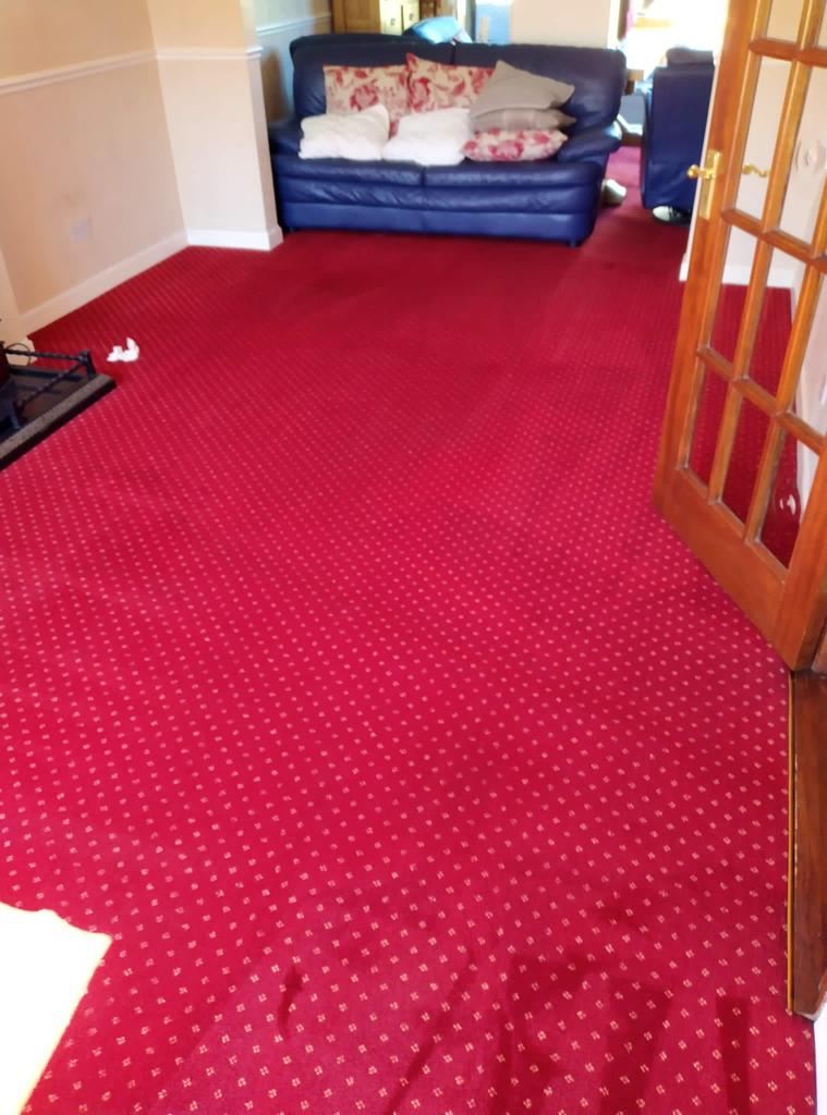 Carpet Cleaning Terenure Sofa, Upholstery, Rug & Mattress Cleaning