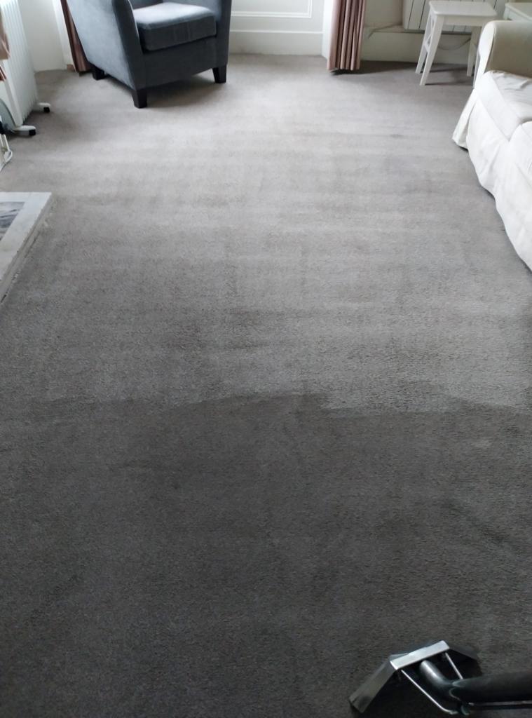 Debunking The ‘New Carpet’ Myth Fresh Doesn’t Mean Flawless